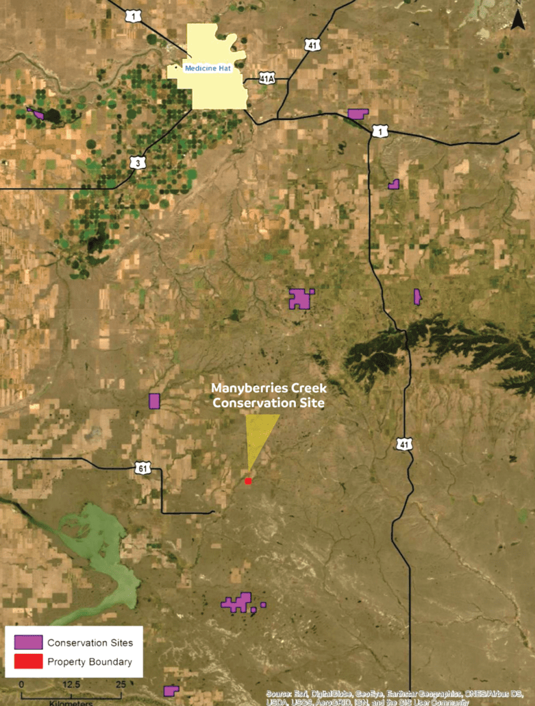 Manyberries Creek Conservation Site