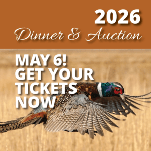 Get-your-tickets-Now800